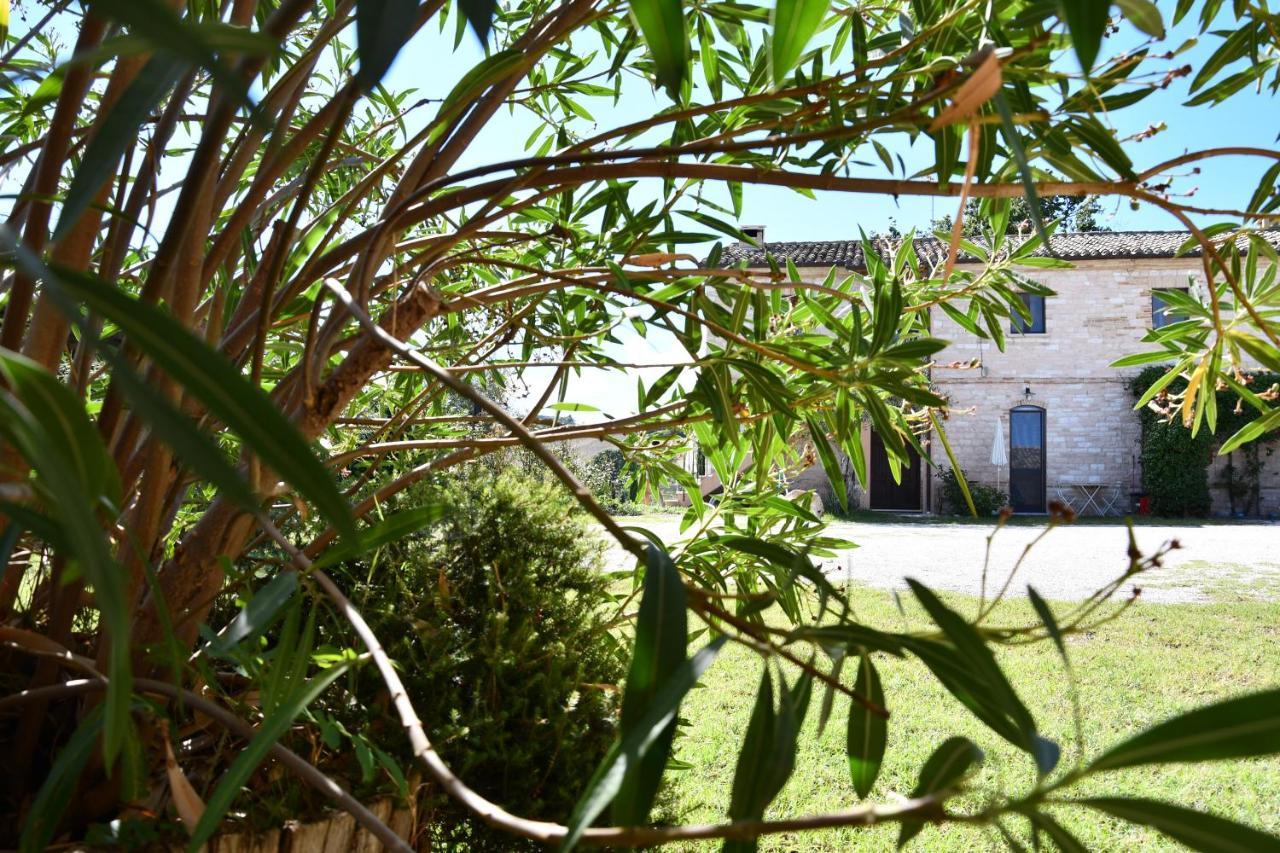 Agriturismo Dai Mori Isola del Piano Ngoại thất bức ảnh